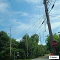 Tree service soliciting door to door in area
