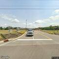 Injured deer blocking roadway near Blanche School