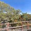 81-year-old female conscious after fall near Bear Claw Trail