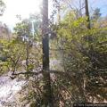 Person rescued conscious after water incident at Turtleback Falls