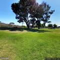 Possible debris fire at Grover Heights Park