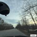 Low-hanging tree blocking road at Anderson Pike