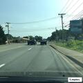 Officer requested to check fallen tree off roadway