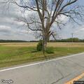 Tree fire near building on Highway 55 in Cove City