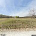 Loose livestock near roadway on South 155th Street