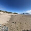 Unresponsive person reported near Morro Bay Dog Beach