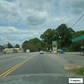 Pickup truck hits deer near NC 226 and Stagecoach Trail