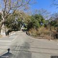 Car crashes into tree on Monterey Road