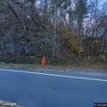 Loose dog reported on Calderwood Highway
