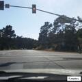 Traffic stop on Highway 1 at Burton Drive