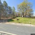 Tree on power lines closes Morgan Road
