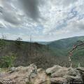 Report of possible lost hiker at state park