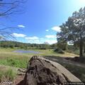 Person fell near baboon exhibit on Zoo Parkway