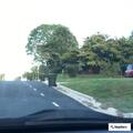 Driver found with indefinitely suspended license