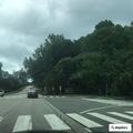 Structure fire on West Chatham Street in Cary
