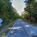 Working fire reported on Albemarle Street