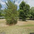 Suspicious person hiding behind tree at driveway