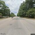 Foxes in roadway creating traffic hazard
