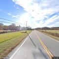 Cow loose on NC 18 at Cedar Rock roadway