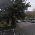 Loose dog secured near Creek and West Vine streets