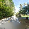 Deer in roadside ditch on Shady Road