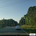 Male stung by yellow jacket at Hillsborough Circle K