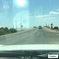 Loose cattle causing traffic hazard on Avenue 152
