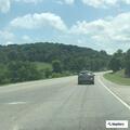 Car hits deer near Casey Street and Bonnell Lane