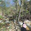 Lost hiker rescue with landing zone at Arroyo Seco Campground