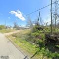 Loose dog reported on Maple Street in Dresden