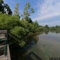 Car crashes into tree at Cove Lake State Park