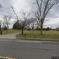 Search for missing person in Castalian Springs