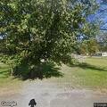 Loose dogs reported near Old Hickory and Second Street