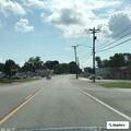 Car hit deer on McMurry Boulevard in Hartsville