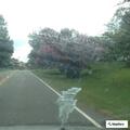 Disabled vehicle causing traffic hazard on NC 65
