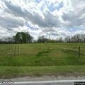 Loose animals reported on War Trace Road
