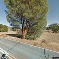 Tree blocking road near Pinnacles East entrance