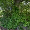 42-year-old woman found unconscious but breathing