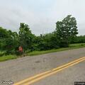 Father threatens son with dowel rod near State Highway W in Ava