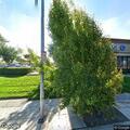 Commercial holdup alarm at business on East Shaw
