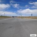 Animal hazard on Highway 99 near Veterans Boulevard