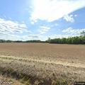 Woman falls near Tucker Swamp Road in Ivor