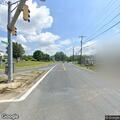 Loose peacock in roadway near CVS in Marlboro Village