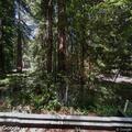 Unknown medical emergency reported by alarm near Santa Cruz