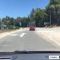 Car hits bushes and sign on Highway 17