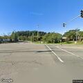 Oak tree blocking Mount Hermon and La Madrona