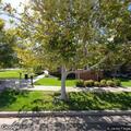 Traumatic injury reported at local police department