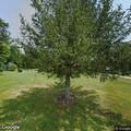 Man injured by tree fall with broken leg and severe bleeding