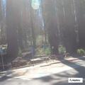 Patient experiencing chest pain at Big Basin Park headquarters