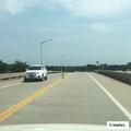 Loose white dog near roadway by Columbus